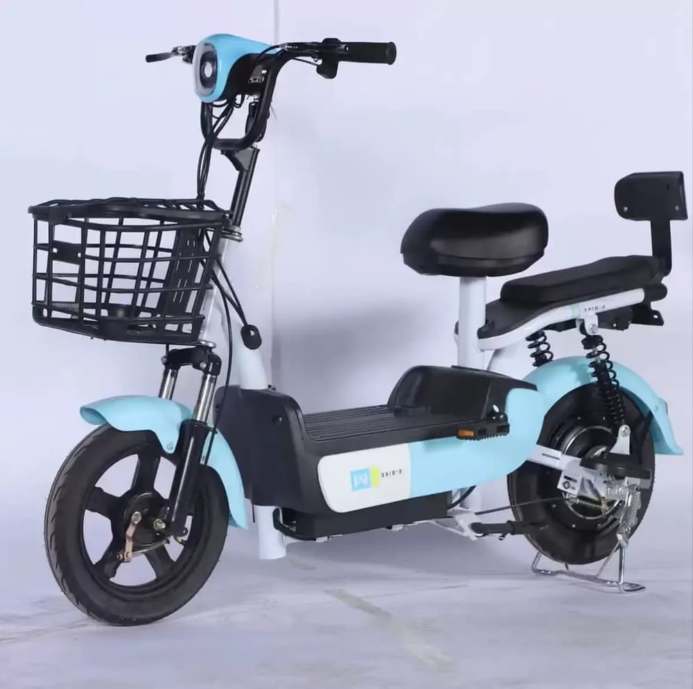 Electric Bike